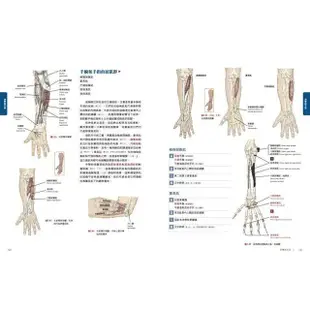 人體解剖全書 第三版【金石堂】