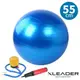 【Leader X】加厚防爆 核心肌群鍛鍊瑜珈球 韻律球 抗力球 55cm 藍色-附贈打氣筒(隨機出貨)