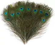 30Pcs Peacock Feathers, Green Peacock Eye Feathers for DIY Crafts Art, Peacock T