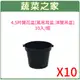 【蔬菜之家005-D137-10】4.5吋蘭花盆(黑吊耳盆.洋蘭吊盆)10入/組 園藝 園藝用品 園藝資材 園藝工具 園藝造景 園藝盆栽 園藝裝飾