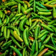Chilli - Serrano seeds