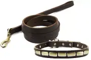 Dean and Tyler Bundle "Plated Beauty" Collar 38x1" With Leash 6 FT Brown