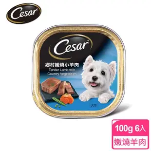 【Cesar西莎】精緻/風味餐盒 100g*24入 寵物/狗罐頭/狗食(任選)