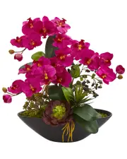 Nearly Natural Phalaenopsis Orchid & Mixed Succulent Garden Artificial Arrangement in Black Vase
