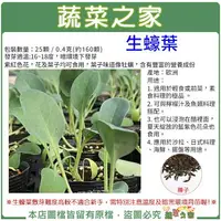 在飛比找樂天市場購物網優惠-【蔬菜之家】K31生蠔葉種子 (共2種包裝可選)