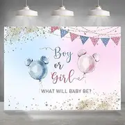 Rsuuinu Gender Reveal Backdrop Balloon Boy or Girl What Will Baby Be Blue Pink He or She Photography Background Baby Shower Party Decoration Supplies Cake Table Banner Photo Booth Studio Props 7x5ft
