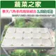 【蔬菜之家005-D117-】景天八角多肉栽培組合3.5吋(4號)(含景天八角盆3.5吋白色15個+育苗盤白色*1個)園藝 園藝用品 園藝資材 園藝工具