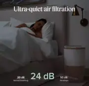 Dupray Air Purifier with Planter and Custom Walnut Accent Table Design