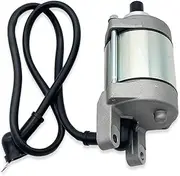 Motorcycle Stater,Compatible With ZONGSHEN ZS178MM-2 NX250 Starter Motor 250cc Engine Electric Start