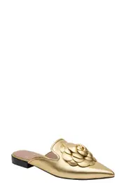 Linea Paolo Flower Mule in Gold at Nordstrom, Size 6