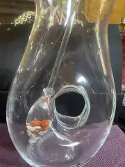 Glass Hand Blown Pitcher With Crystal Wand