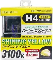 Baitex BB-712 Super Halogen Bulb, H4, Shining Yellow, H4, 3,100K (Pack of 2)