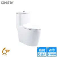在飛比找momo購物網優惠-【CAESAR 凱撒衛浴】省水單體馬桶/管距30(C1364