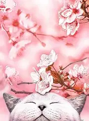 Pintoo Jigsaw Puzzles 300 Piece for Adults - Cherry Blossom - Sakura Cat Beautiful Plastic Puzzle for Home Decor Zero Dust Easy Storage [H2462]