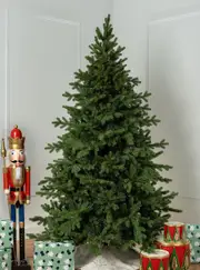 Spitsbergen Spruce 6ft / 180cm Christmas Tree