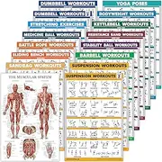 16 Pack - Exercise Workout Poster Set: Dumbbell, Suspension, Kettlebell, Bands, Medicine Ball, Battle Rope, Stretching, Bodyweight, Barbell, Yoga, Exercise Ball (PAPER - NOT LAMINATED, 18" x 24")