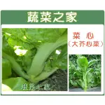 蔬菜之家滿額免運【00A27】大包裝菜心種子30克(大心芥菜)