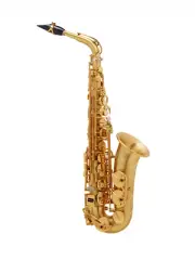 Selmer Paris Signature Alto Saxophone Brushed | Brand New