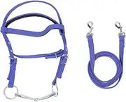 Horse Bridle Rein Nylon Stylish Adjustable Horse Bridle Headstall Equestrian Rein for Horse Training and Riding Nylon Material 2 Pieces