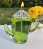 Elegant Handmade Cactus Glass Oil Lamp Candle with Illuminating Glass Wick