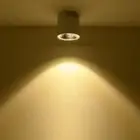 Dimmable/N LED COB Ceiling Lamp Picture Light Fixture Indoor Downlight Corridor
