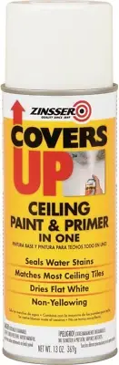 Covers up Ceiling Paint and Primer in One Spray, White, 369 G