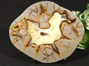 Larger! Polished SEPTARIAN Nodule Slab With a Lightning Like Pattern! Utah 377gr