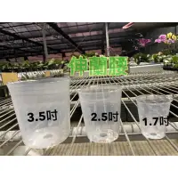 在飛比找蝦皮購物優惠-蘭花專用白塑膠軟盆-10入裝（1.7吋、2.5吋、3.5吋）