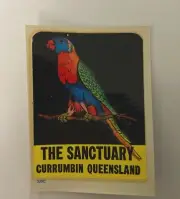 Vintage The SANCTUARY Currumbin QLD Tourist SOUVENIR / Transfer - Parrot