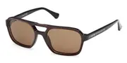Web WE0376 50E Men's Sunglasses Brown Size 55