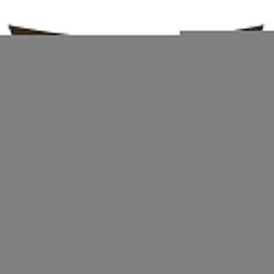 COLOURTREE Canopies 14'x16' Eco-Friendly Rectangle Sun Shade Sail Patio Brown