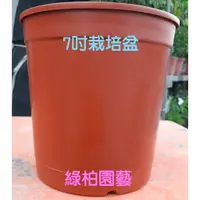 在飛比找蝦皮購物優惠-【sulin069】7吋荷蘭盆/7吋栽培盆【綠柏園藝資材】