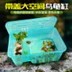 台灣出貨 帶蓋款 烏龜缸 龜盆水龜飼養箱 飼養盒 自帶曬台塑料 大型養龜專用缸.
