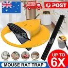 Mouse Trap N Flip Slide Bucket Lid Mouse Rat Traps With Ladder Mousetrap Catcher