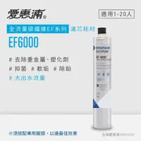 在飛比找momo購物網優惠-【EVERPURE 愛惠浦】EF6000碳纖活性碳濾芯(DI