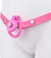 Flat Adult Toys Inverted Chastity Cage Sex Toys Chastity Lock Penis Training Penis Exercise Chastity Device Male Cage Beginner Cage Penis Cage Erection Ring Bondage Couple Lock