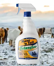 The original Mane n’ Tail detangler