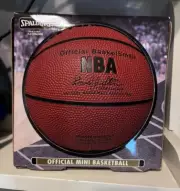 Spalding Basketball NBA Teams Endorsed Mini Small Basketball Collectible