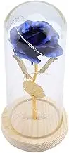 Eternal Rose, Flower Lamp Preserved Rose Gifts for Mom Wife Grandma Preserved Flower LED Light with Glass Cover for Valentines Day Christmas Wedding Anniversary Birthday (Blue)