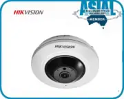 Hikvision 5MP 360° mini Fisheye IP Security Camera PoE Dome DS-2CD2955FWD