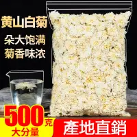 在飛比找蝦皮購物優惠-黃山白菊 袋裝500g 幹菊花茶 另售胎菊 金絲皇菊 婺源黃