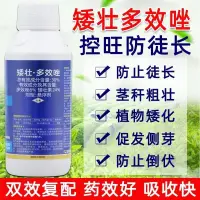 在飛比找蝦皮購物優惠-【園藝用品】矮壯素 多效唑 花生 果樹 蔬菜 玉米矮化劑 生