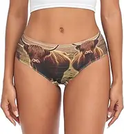 [RPLIFE] Highland Cows Womens Breifs Underware, Breathable Underwear Women, Women Brief Spandex Underwear, Highland Cows 1, X-Large