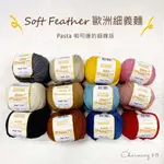 歐洲SOFT FEATHER 細義麵 棉質毛線 毛線 棉線 提袋小物 編織材料