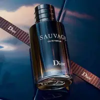 在飛比找蝦皮購物優惠-Dior SAUVAGE 曠野之心 男士香氛 體香膏 體香噴