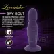 「送280ml潤滑液」香港邦愛Loveaider．Bay Bolt 強力吸盤環紋型後庭肛塞(紫)