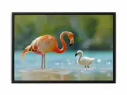 Flamingo Mother Framed Print Fine Art Poster Print