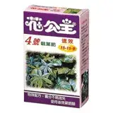 在飛比找遠傳friDay購物優惠-花公主4號觀葉肥