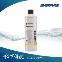 在飛比找蝦皮商城優惠-EVERPURE C SERIES高效能系列 AC2 / A