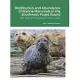 Distribution, Abundance, and Seasonal Variability of Marine Mammals in the Southwest Puget Sound: MES Thesis at The Evergreen State College